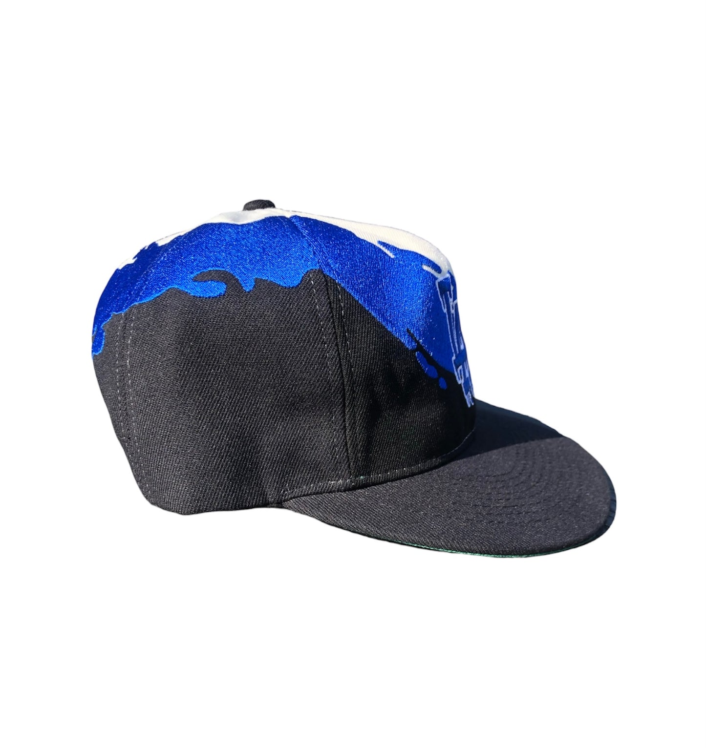 LA Wet Paint Splash Snapback